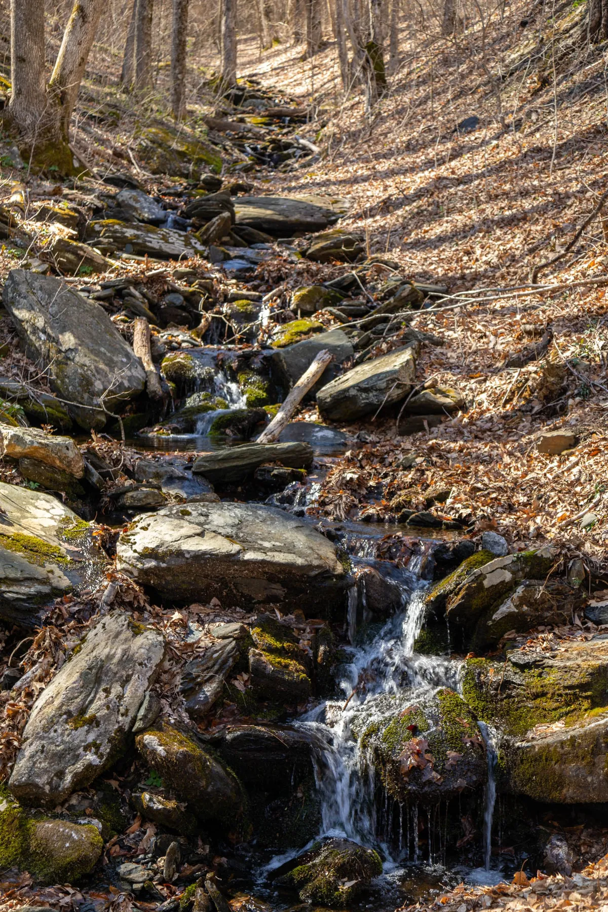 This image captures a tranquil, rocky creek running through mossy stones and leaf-littered banks, set amid the forest. The serene waterway hints at the wildlife and natural beauty awaiting guests on the property’s private trails and nearby game lands.
